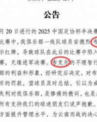 伟德体育-罚款10万！玉昆公告中将布尔克错打成布克尔，随后官博将微博删除
